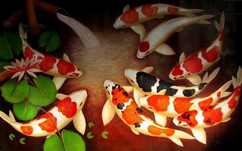 japanese koi fish